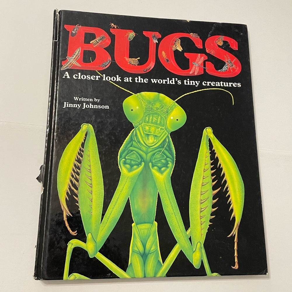 Bugs: a Closer Look at the World's Tiny Creatures Edition: F... by Jinny Johnson